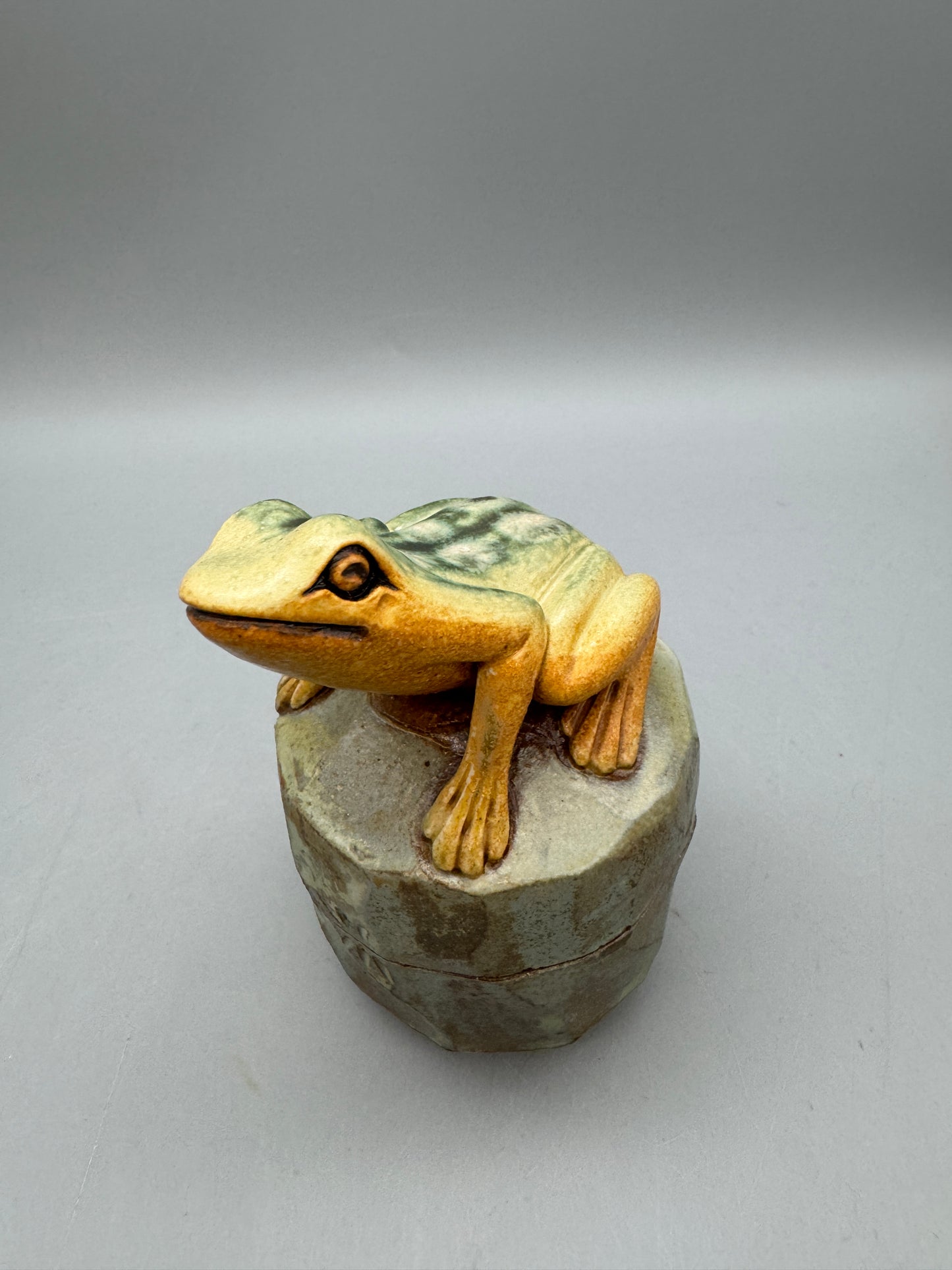 Katherine Maloney - Frog Faceted Box