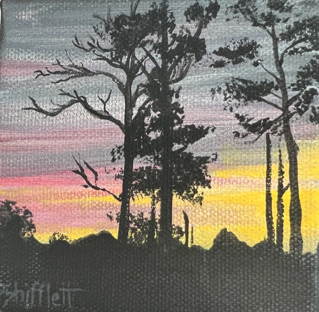 Peggy Shifflett-Sunset