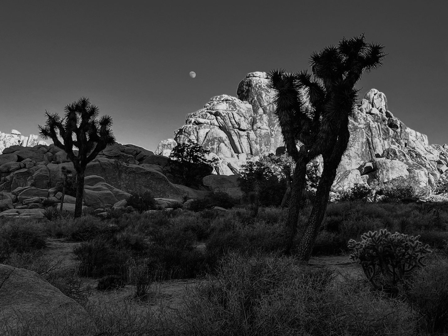 Ray Stubblebine -  Moonrise in Joshua Tree National Park