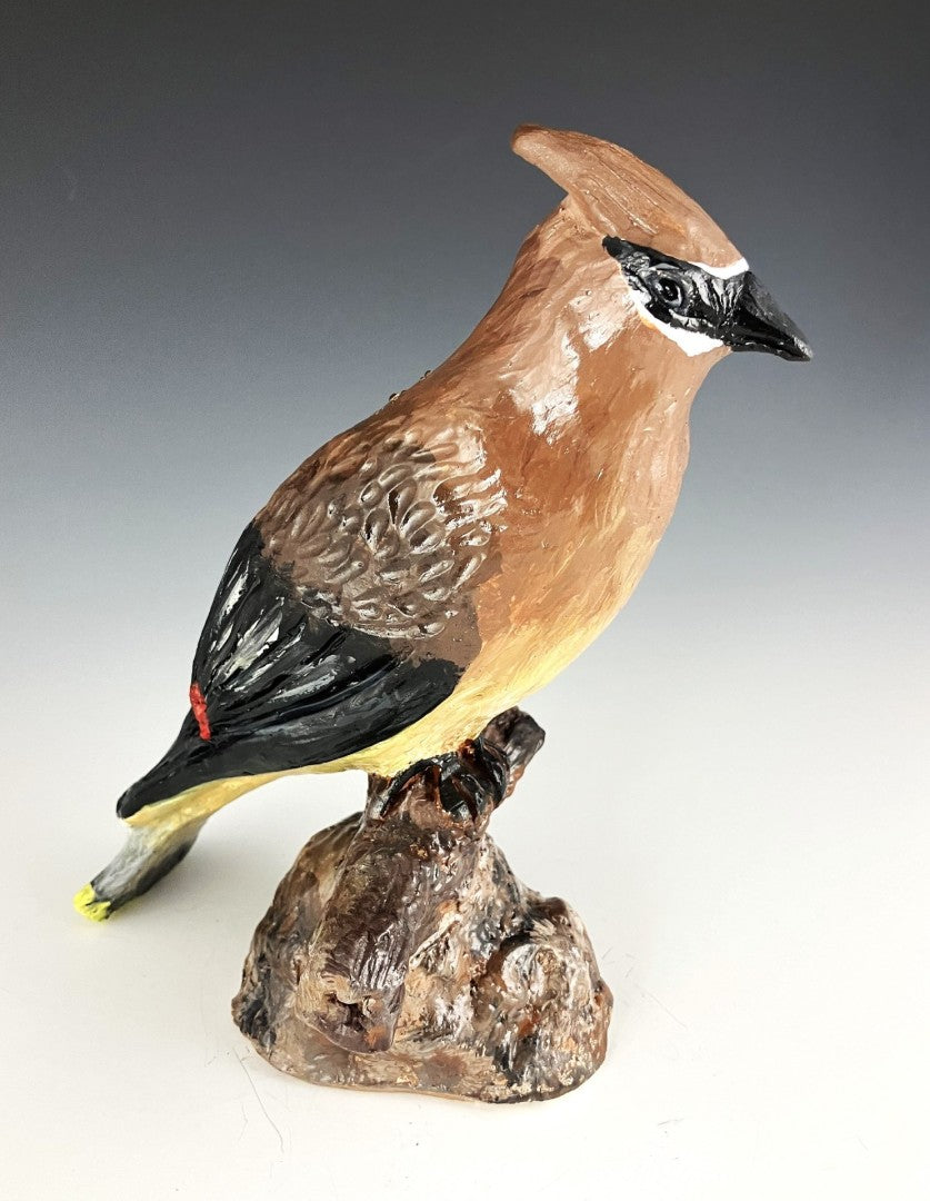 Martha Hayes  - Cedar Waxwing